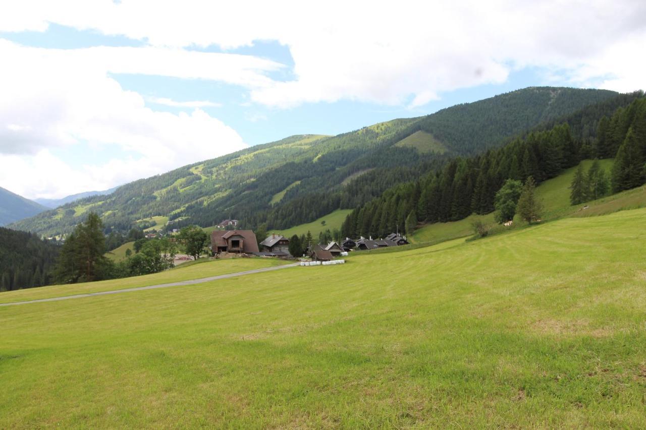Apartament Chalet Mallnock Bad Kleinkirchheim Zewnętrze zdjęcie